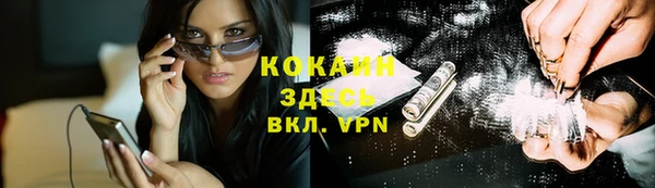 спиды Каменногорск