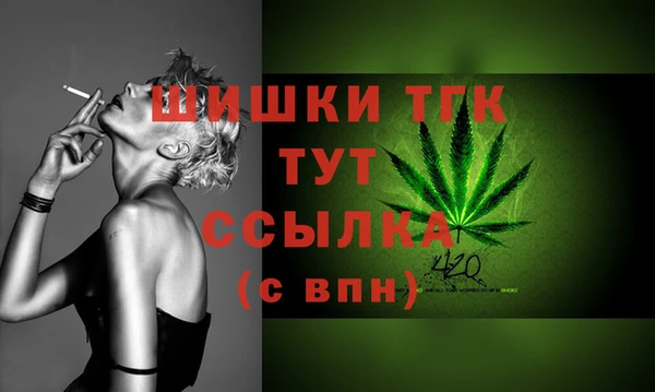 дживик Каменск-Шахтинский