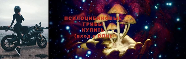 спиды Каменногорск