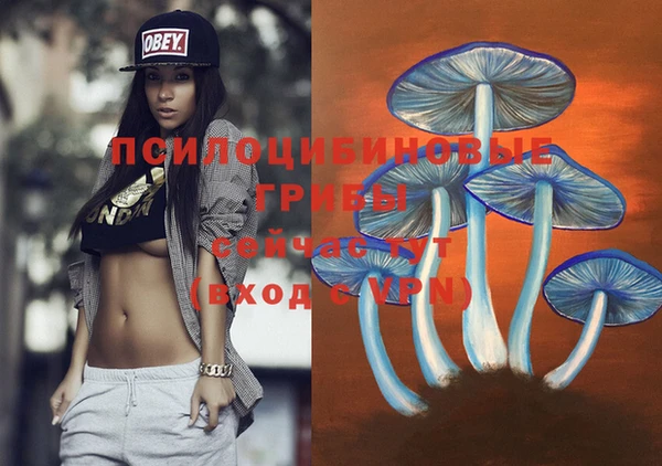 спиды Каменногорск