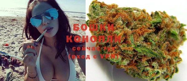 спиды Каменногорск