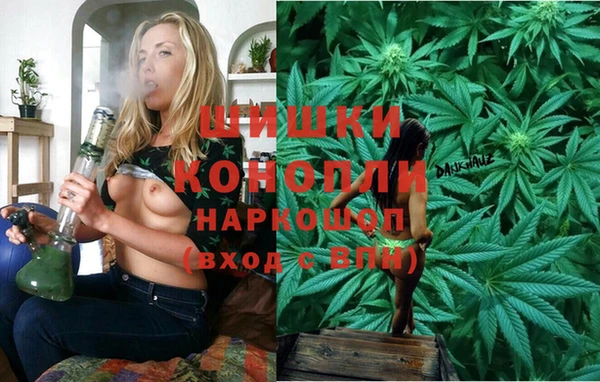 дживик Каменск-Шахтинский