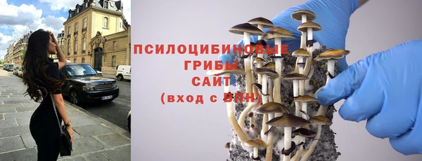 кокаин Каменка